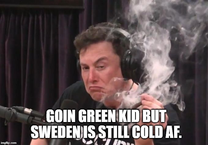 Elon Musk Smoking Weed | GOIN GREEN KID BUT SWEDEN IS STILL COLD AF. | image tagged in elon musk smoking weed | made w/ Imgflip meme maker