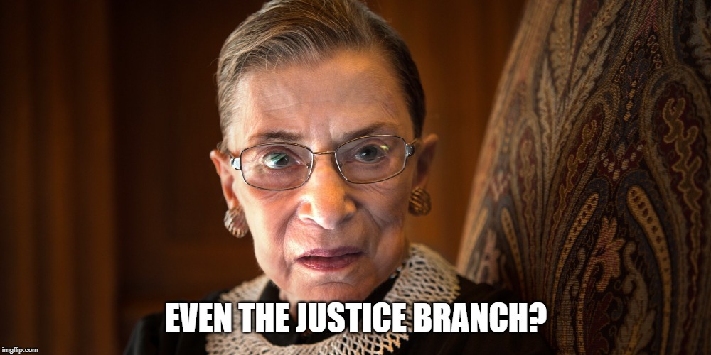  Ruth Bader Ginsberg  | EVEN THE JUSTICE BRANCH? | image tagged in ruth bader ginsberg | made w/ Imgflip meme maker