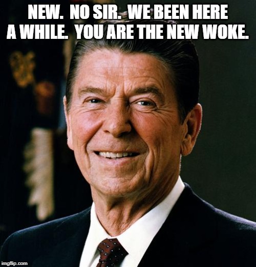 Ronald Reagan face | NEW.  NO SIR.  WE BEEN HERE A WHILE.  YOU ARE THE NEW WOKE. | image tagged in ronald reagan face | made w/ Imgflip meme maker