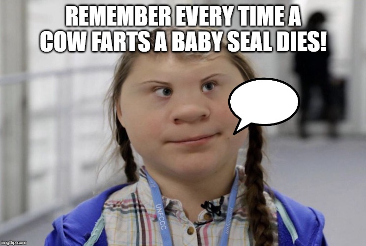 Angry Climate Activist Greta Thunberg | REMEMBER EVERY TIME A COW FARTS A BABY SEAL DIES! | image tagged in angry climate activist greta thunberg | made w/ Imgflip meme maker