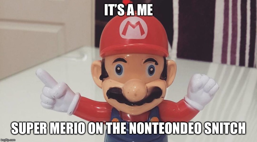 Merio | IT’S A ME; SUPER MERIO ON THE NONTEONDEO SNITCH | image tagged in mario | made w/ Imgflip meme maker