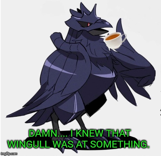 The_Tea_Drinking_Corviknight | DAMN.... I KNEW THAT WINGULL WAS AT SOMETHING. | image tagged in the_tea_drinking_corviknight | made w/ Imgflip meme maker