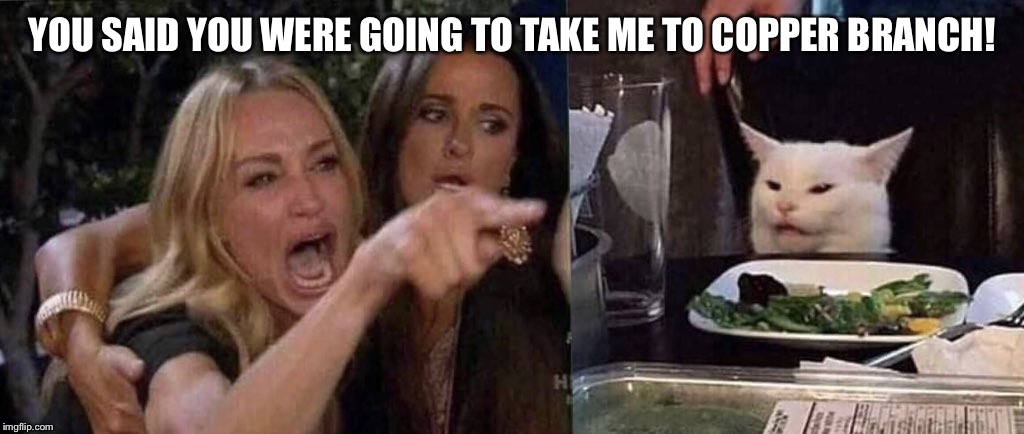 woman yelling at cat | YOU SAID YOU WERE GOING TO TAKE ME TO COPPER BRANCH! | image tagged in woman yelling at cat | made w/ Imgflip meme maker