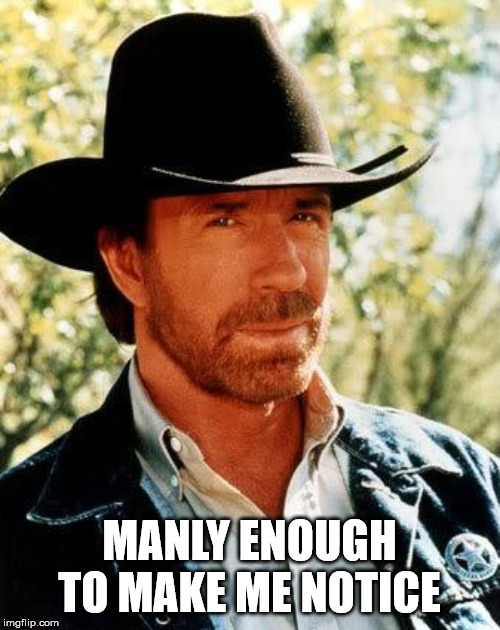 Chuck Norris Meme | MANLY ENOUGH TO MAKE ME NOTICE | image tagged in memes,chuck norris | made w/ Imgflip meme maker