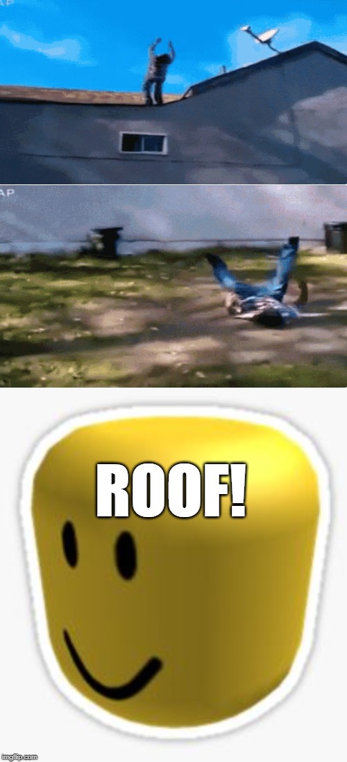 Oof! | ROOF! | image tagged in oof | made w/ Imgflip meme maker