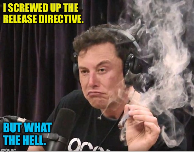 Elon Musk smoking a joint | I SCREWED UP THE 
RELEASE DIRECTIVE. BUT WHAT 
THE HELL. | image tagged in elon musk smoking a joint | made w/ Imgflip meme maker