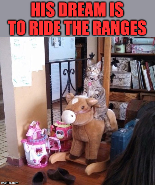 I wanna be a catboy baby | HIS DREAM IS TO RIDE THE RANGES | image tagged in cats,horse,roleplaying | made w/ Imgflip meme maker