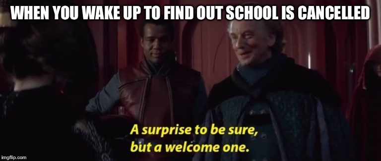 A Surprise to be sure | WHEN YOU WAKE UP TO FIND OUT SCHOOL IS CANCELLED | image tagged in a surprise to be sure | made w/ Imgflip meme maker