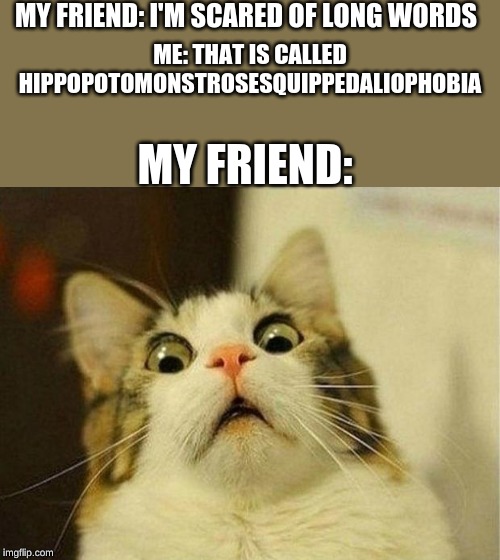 Scared Cat Meme | MY FRIEND: I'M SCARED OF LONG WORDS; ME: THAT IS CALLED HIPPOPOTOMONSTROSESQUIPPEDALIOPHOBIA; MY FRIEND: | image tagged in memes,scared cat | made w/ Imgflip meme maker
