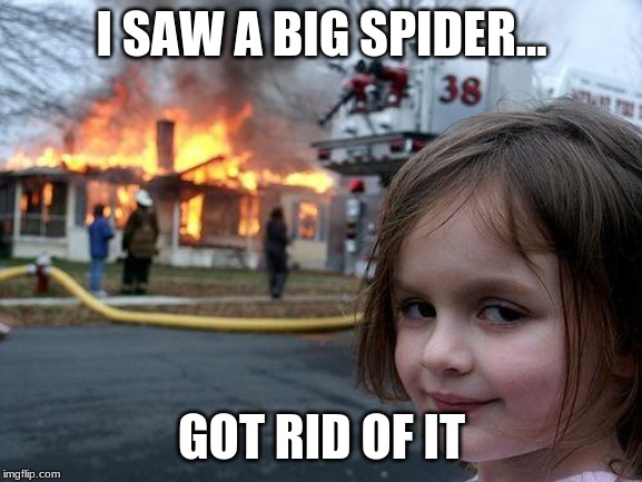 Disaster Girl | I SAW A BIG SPIDER... GOT RID OF IT | image tagged in memes,disaster girl | made w/ Imgflip meme maker