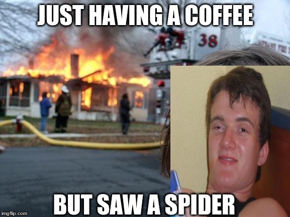 Disaster Girl | JUST HAVING A COFFEE; BUT SAW A SPIDER | image tagged in memes,disaster girl | made w/ Imgflip meme maker