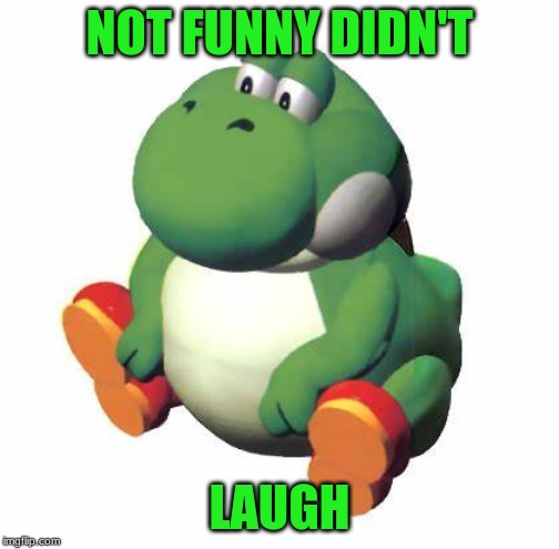 Big yoshi | NOT FUNNY DIDN'T; LAUGH | image tagged in big yoshi | made w/ Imgflip meme maker