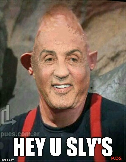 Silvester 'Sloth' Stallone | HEY U SLY'S | image tagged in funny memes | made w/ Imgflip meme maker
