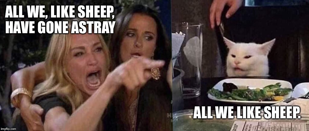 woman yelling at cat | ALL WE, LIKE SHEEP,
HAVE GONE ASTRAY; ALL WE LIKE SHEEP. | image tagged in woman yelling at cat | made w/ Imgflip meme maker