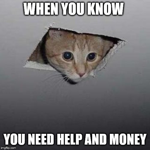 Ceiling Cat | WHEN YOU KNOW; YOU NEED HELP AND MONEY | image tagged in memes,ceiling cat | made w/ Imgflip meme maker