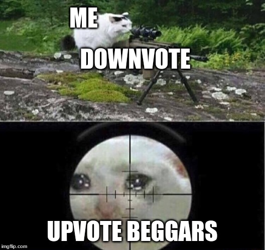 Sniper cat | ME; DOWNVOTE; UPVOTE BEGGARS | image tagged in sniper cat | made w/ Imgflip meme maker