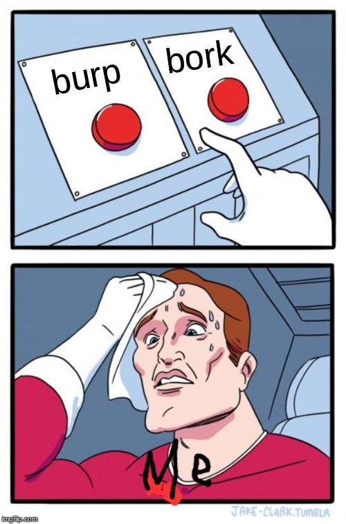 Two Buttons | bork; burp | image tagged in memes,two buttons | made w/ Imgflip meme maker
