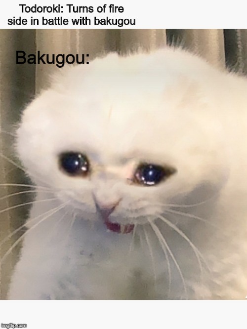 Bakugou | Todoroki: Turns of fire side in battle with bakugou; Bakugou: | image tagged in rage | made w/ Imgflip meme maker