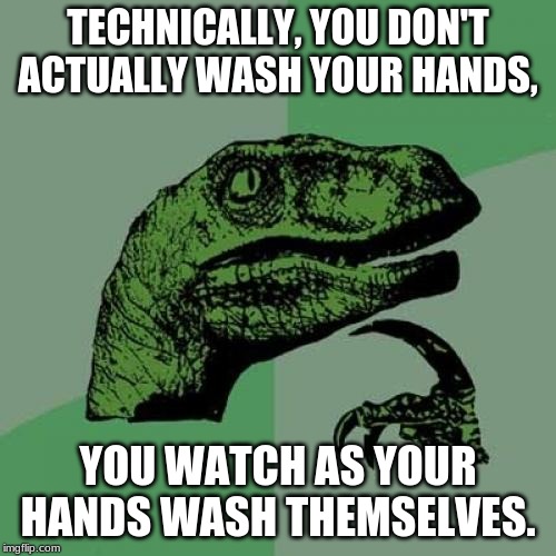 Philosoraptor Meme | TECHNICALLY, YOU DON'T ACTUALLY WASH YOUR HANDS, YOU WATCH AS YOUR HANDS WASH THEMSELVES. | image tagged in memes,philosoraptor | made w/ Imgflip meme maker