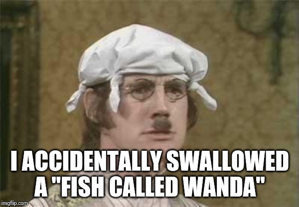 Monty Python brain hurt | I ACCIDENTALLY SWALLOWED A "FISH CALLED WANDA" | image tagged in monty python brain hurt | made w/ Imgflip meme maker