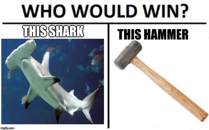 Who Would Win? | THIS SHARK; THIS HAMMER | image tagged in memes,who would win | made w/ Imgflip meme maker