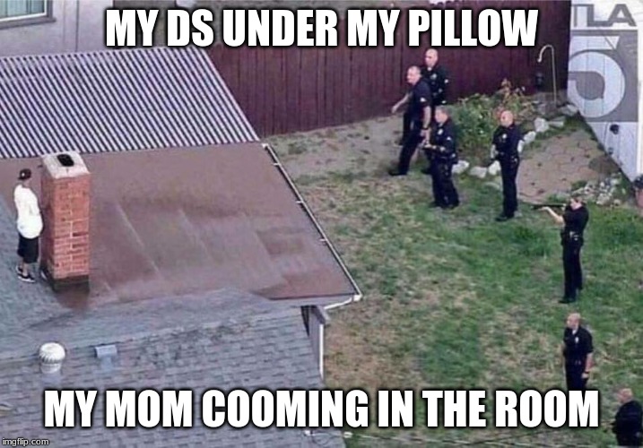 Fortnite meme | MY DS UNDER MY PILLOW; MY MOM COOMING IN THE ROOM | image tagged in fortnite meme | made w/ Imgflip meme maker