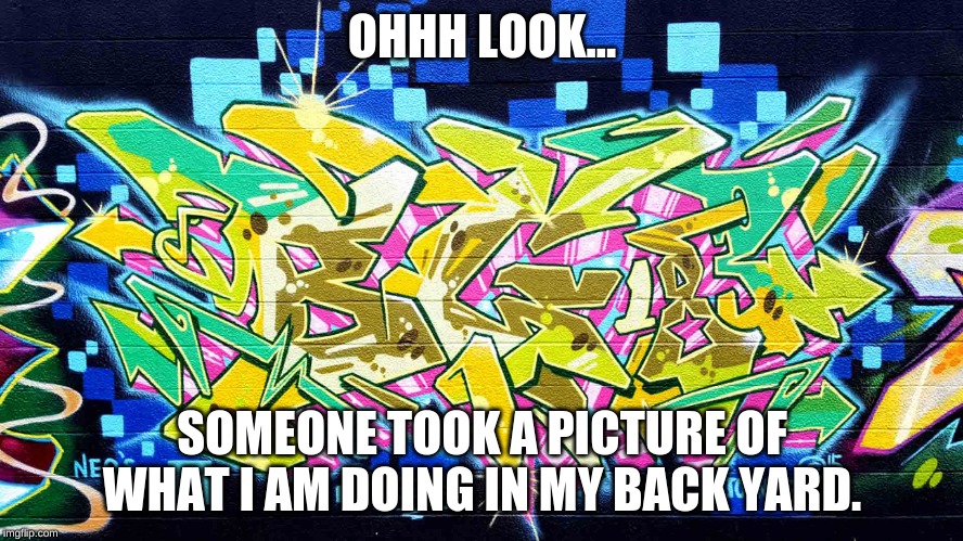 my graffiti | OHHH LOOK... SOMEONE TOOK A PICTURE OF WHAT I AM DOING IN MY BACK YARD. | image tagged in graffiti | made w/ Imgflip meme maker