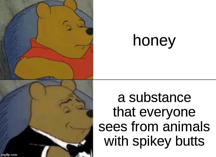 Tuxedo Winnie The Pooh | honey; a substance that everyone sees from animals with spikey butts | image tagged in memes,tuxedo winnie the pooh | made w/ Imgflip meme maker