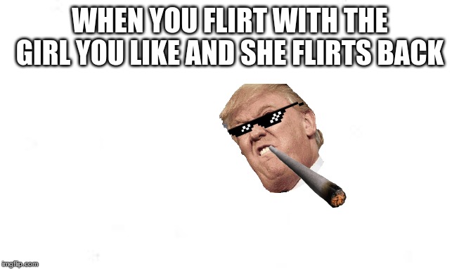 trumped | WHEN YOU FLIRT WITH THE GIRL YOU LIKE AND SHE FLIRTS BACK | image tagged in epic | made w/ Imgflip meme maker