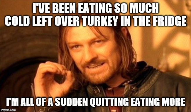 One Does Not Simply | I'VE BEEN EATING SO MUCH COLD LEFT OVER TURKEY IN THE FRIDGE; I'M ALL OF A SUDDEN QUITTING EATING MORE | image tagged in memes,one does not simply | made w/ Imgflip meme maker