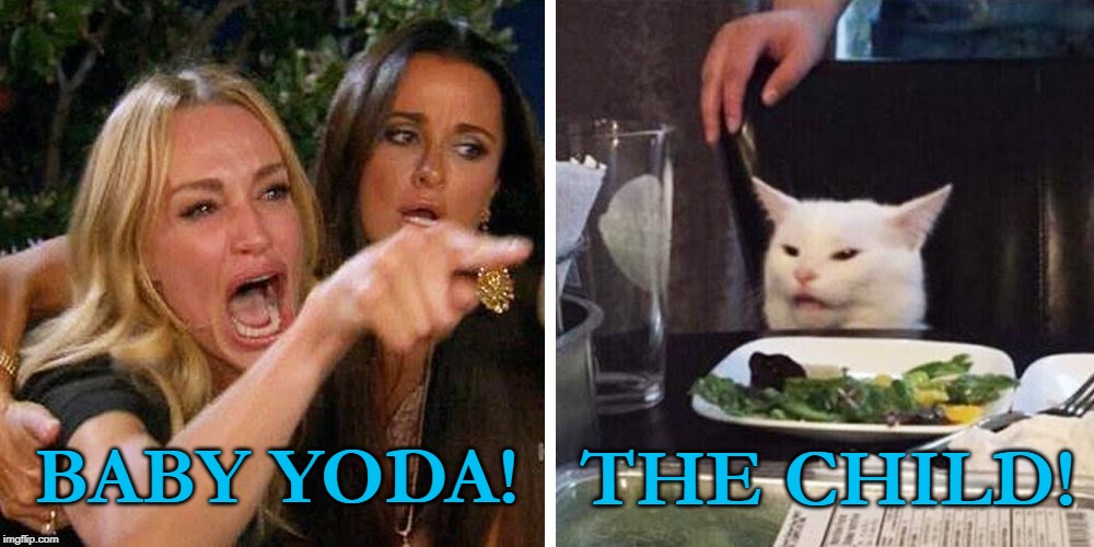 Smudge the cat | THE CHILD! BABY YODA! | image tagged in smudge the cat | made w/ Imgflip meme maker