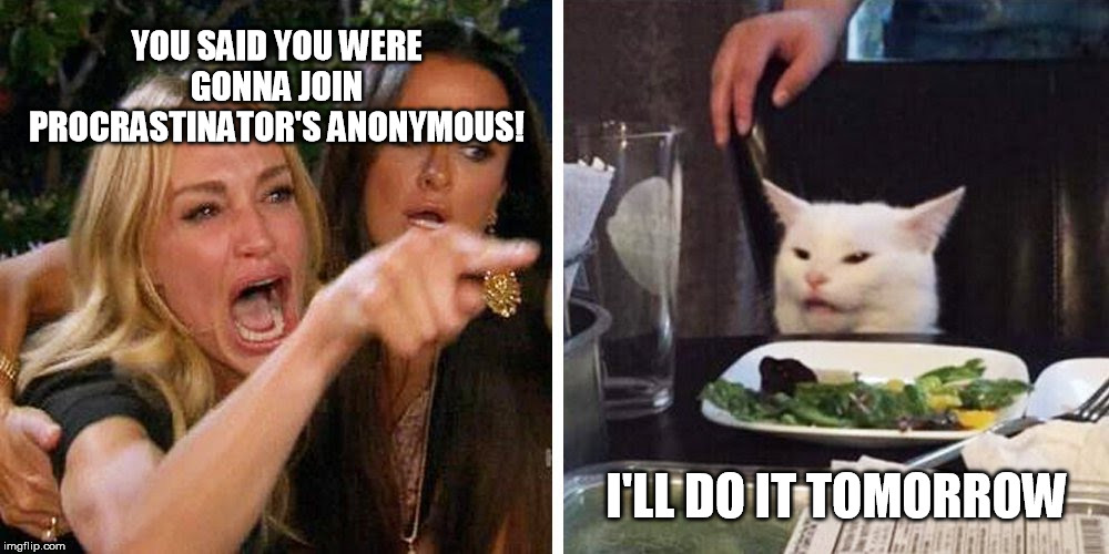 Smudge the cat | YOU SAID YOU WERE GONNA JOIN PROCRASTINATOR'S ANONYMOUS! I'LL DO IT TOMORROW | image tagged in smudge the cat | made w/ Imgflip meme maker
