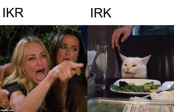 Woman Yelling At Cat Meme | IKR IRK | image tagged in memes,woman yelling at cat | made w/ Imgflip meme maker
