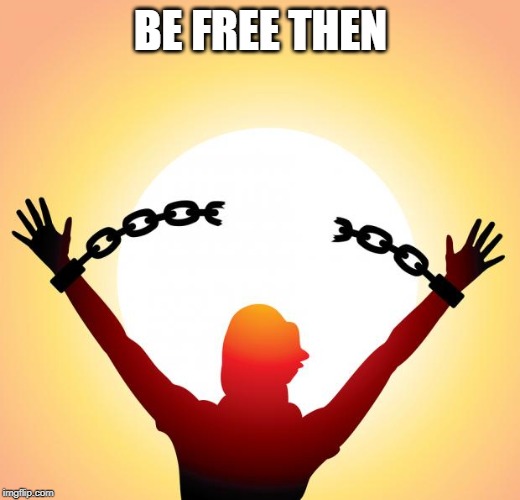 freedom | BE FREE THEN | image tagged in freedom | made w/ Imgflip meme maker