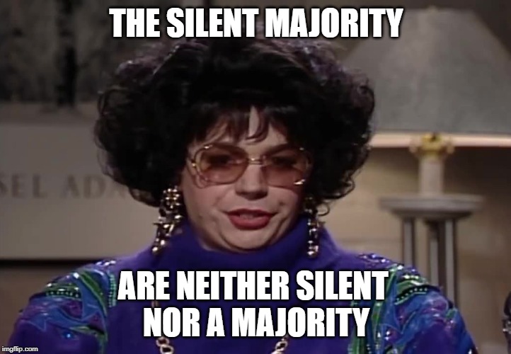 Silent Majority | THE SILENT MAJORITY ARE NEITHER SILENT 
NOR A MAJORITY | image tagged in silent majority | made w/ Imgflip meme maker