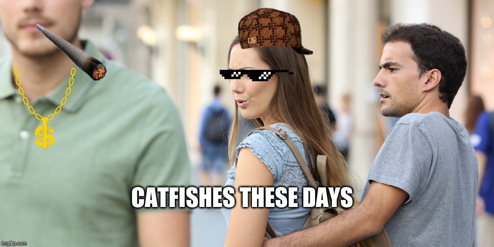 Distracted girlfriend | CATFISHES THESE DAYS | image tagged in distracted girlfriend | made w/ Imgflip meme maker