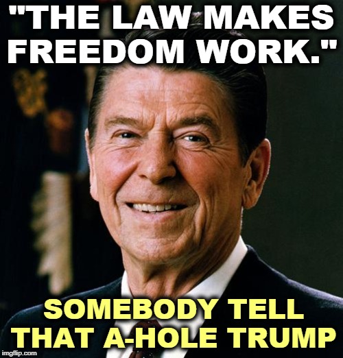 Ronald Reagan, a Law and Order Republican. | "THE LAW MAKES FREEDOM WORK."; SOMEBODY TELL THAT A-HOLE TRUMP | image tagged in ronald reagan face,law,trump,criminal,impeachment,felony | made w/ Imgflip meme maker