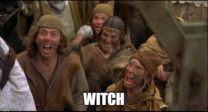 Monty Python witch | WITCH | image tagged in monty python witch | made w/ Imgflip meme maker