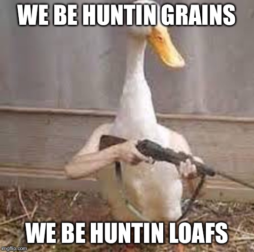 Loafs | WE BE HUNTIN GRAINS; WE BE HUNTIN LOAFS | image tagged in cool | made w/ Imgflip meme maker