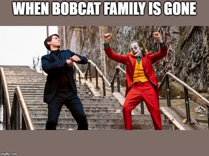 Peter Joker Dancing | WHEN BOBCAT FAMILY IS GONE | image tagged in peter joker dancing | made w/ Imgflip meme maker