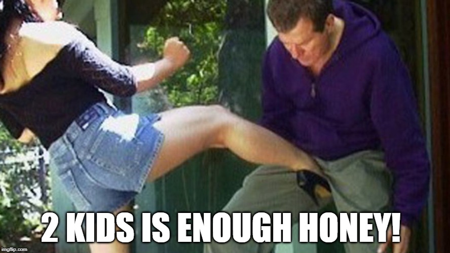 Annoying dad | 2 KIDS IS ENOUGH HONEY! | image tagged in kick,woman,funny,dad,have a nice day | made w/ Imgflip meme maker