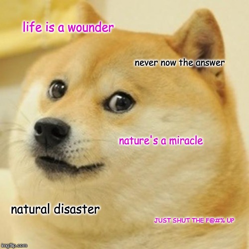 Doge Meme | life is a wounder; never now the answer; nature's a miracle; natural disaster; JUST SHUT THE F@#% UP | image tagged in memes,doge | made w/ Imgflip meme maker