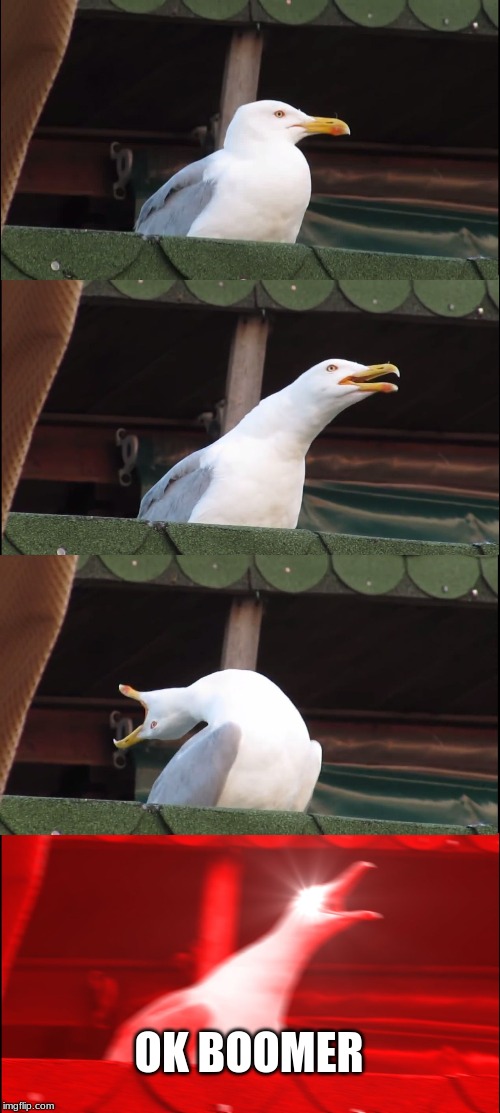 Inhaling Seagull | OK BOOMER | image tagged in memes,inhaling seagull | made w/ Imgflip meme maker