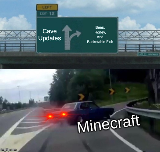 Left Exit 12 Off Ramp | Cave Updates; Bees, Honey, And Bucketable Fish; Minecraft | image tagged in memes,left exit 12 off ramp | made w/ Imgflip meme maker