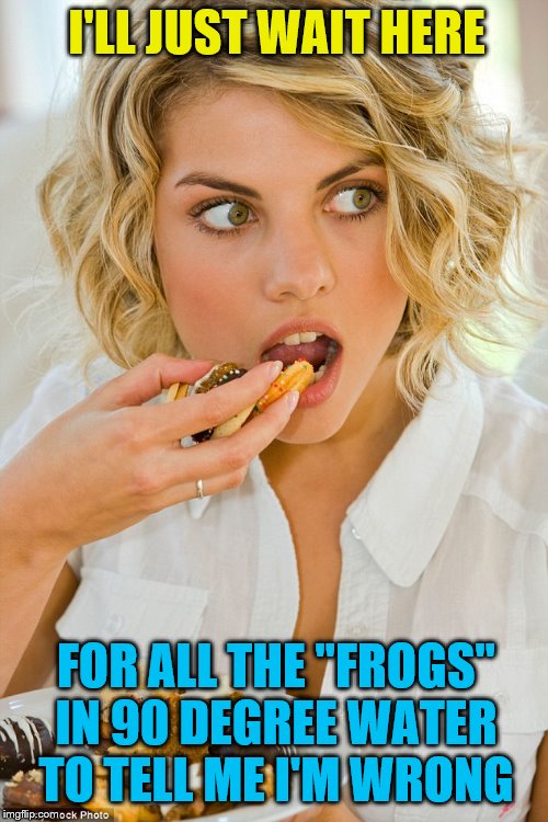 Cookie Thief | I'LL JUST WAIT HERE FOR ALL THE "FROGS" IN 90 DEGREE WATER TO TELL ME I'M WRONG | image tagged in cookie thief | made w/ Imgflip meme maker