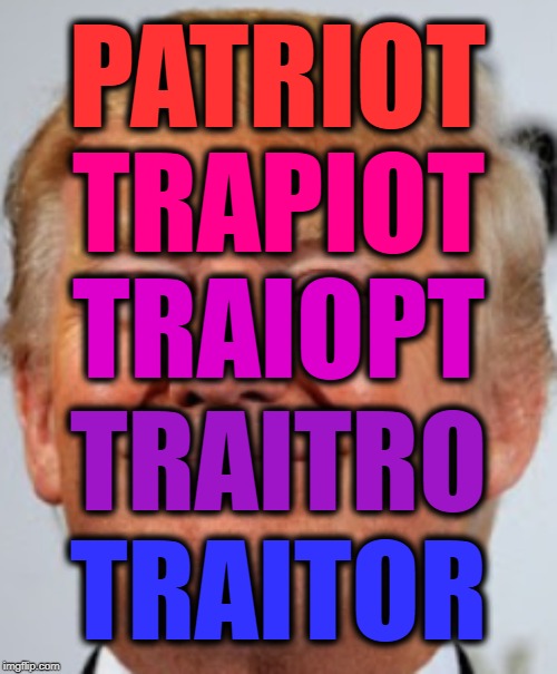 Perspective | PATRIOT; TRAPIOT; TRAIOPT; TRAITRO; TRAITOR | image tagged in politcs | made w/ Imgflip meme maker