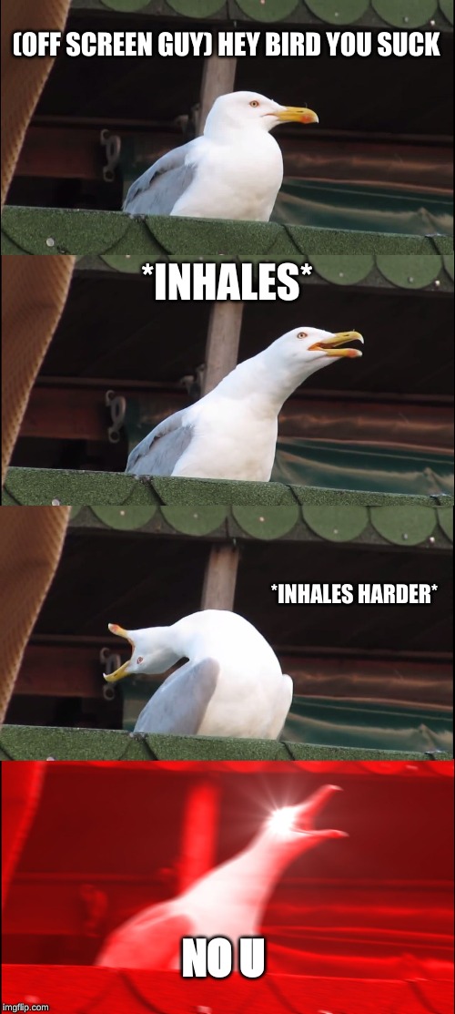 Inhaling Seagull | (OFF SCREEN GUY) HEY BIRD YOU SUCK; *INHALES*; *INHALES HARDER*; NO U | image tagged in memes,inhaling seagull | made w/ Imgflip meme maker