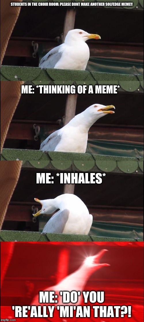 Inhaling Seagull | STUDENTS IN THE CHOIR ROOM: PLEASE DONT MAKE ANOTHER SOLFEDGE MEME!! ME: *THINKING OF A MEME*; ME: *INHALES*; ME: 'DO' YOU 'RE'ALLY 'MI'AN THAT?! | image tagged in memes,inhaling seagull | made w/ Imgflip meme maker