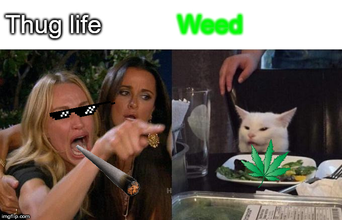 Woman Yelling At Cat | Thug life; Weed | image tagged in memes,woman yelling at cat | made w/ Imgflip meme maker