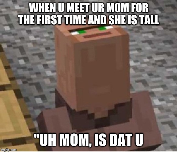 Villager looking up | WHEN U MEET UR MOM FOR THE FIRST TIME AND SHE IS TALL; "UH MOM, IS DAT U | image tagged in villager looking up | made w/ Imgflip meme maker